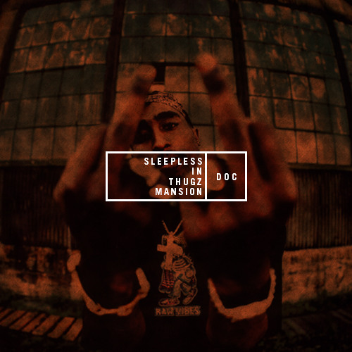 2Pac x Flume - Sleepless in Thugz Mansion (D O C Mashup)