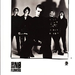 Wafer Thin-demo-recorded "96