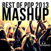 Best Of Pop 2013 - BeatAndSyncro Mashup