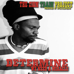 Determine - We need a Miracle - The Zion Train Project