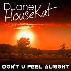 DJane Housekat - Don´t U Feel Alright (Casaris 2k14 Booty)