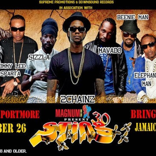 STING DEC 26TH 2013 - SUPER CAT, 2 CHAINZ, MOVADO, NINJA MAN, LADY SAW, SIZZLA, KIPRICH ETC.