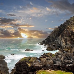 Silly Rabbit (Pineal cleanse)