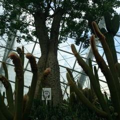 I Love You and It Hurts