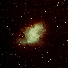 DIDGERIDOO INTRO IDEA