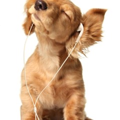 Now that's a playlist!