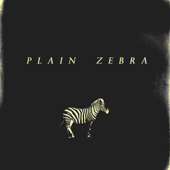 Plain Zebra - Mr White