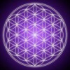 Sound Healing Meditation Music, Delta Waves