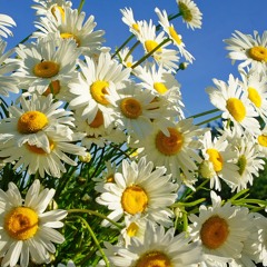 This Is A Lovely Day