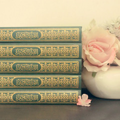 وَاذْكُرْ فِي الْكِتَابِ إِبْرَاهِيمَ إِنَّهُ كَانَ صِدِّيقًا نَّبِيًّا - أحمد العبيد