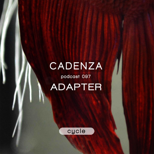 Cadenza Podcast | 097 - Adapter (Cycle)