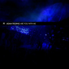 FREE DOWNLOAD -Adam Fielding - Are You With Me (Avatar One Remix)