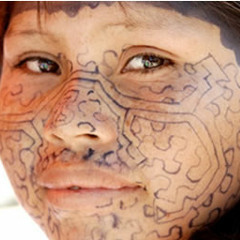 the root of all creation