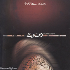 در هوای بی خودی - بیژن کامکار و محمدعلی کیانی نژاد