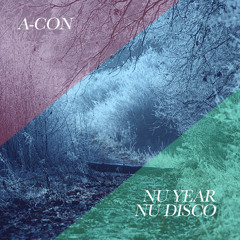 Nu Year, Nu Disco