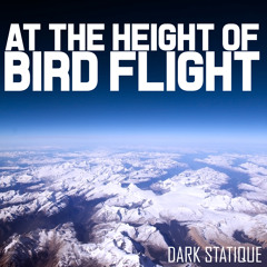 At The Height Of Bird Flight