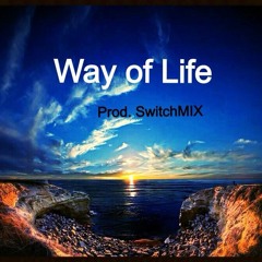 Numerous Q's - Way Of Life [prod. SwitchMIX]