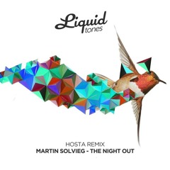 Martin Solveig - The Night Out [Hosta Remix] [Free NYE Download]