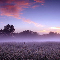 Kelly Bailey - Triage at Dawn (Deichgraf & Balkenstein Remix)