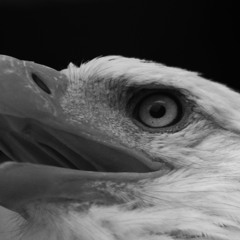 The Devil Nears - Ambience Drone Horror Soundscape