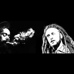 ALborosie  vs  Damien Marley