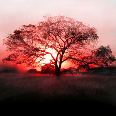 Crimson Words (Feat. dreadthedays)