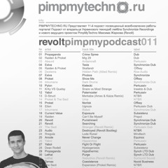 Pimpmytechno Podcast Vol 11 Revolt (+interview with Prode) link inside