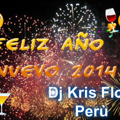 Mix Año Nuevo DJ KRIS FLOW 2014