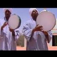 بريدك يا البشير