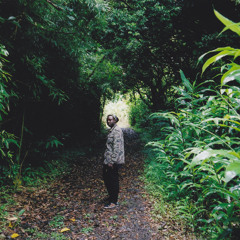 Ju$t Lee - Inside Soliloquy