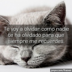 Mc Devid-Cuando Te Haya Olvidado