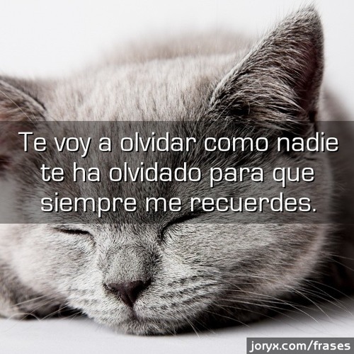 Mc Devid-Cuando Te Haya Olvidado