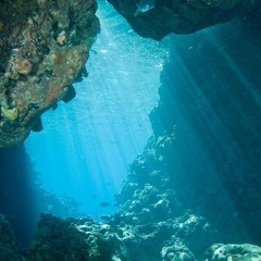 Aquatic Ambience Remix