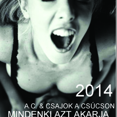 A.C.&Csajok A Csúcson - Mindenki Azt Akarja(Happy New Year 2014 Remix By Deejay Street)FREE.Download