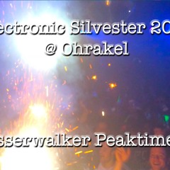 2014-01-01 Electronic Silvester 2013 @Ohrakel Wasserwalker Peaktime Set