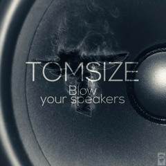 Tomsize - Blow Your Speakers