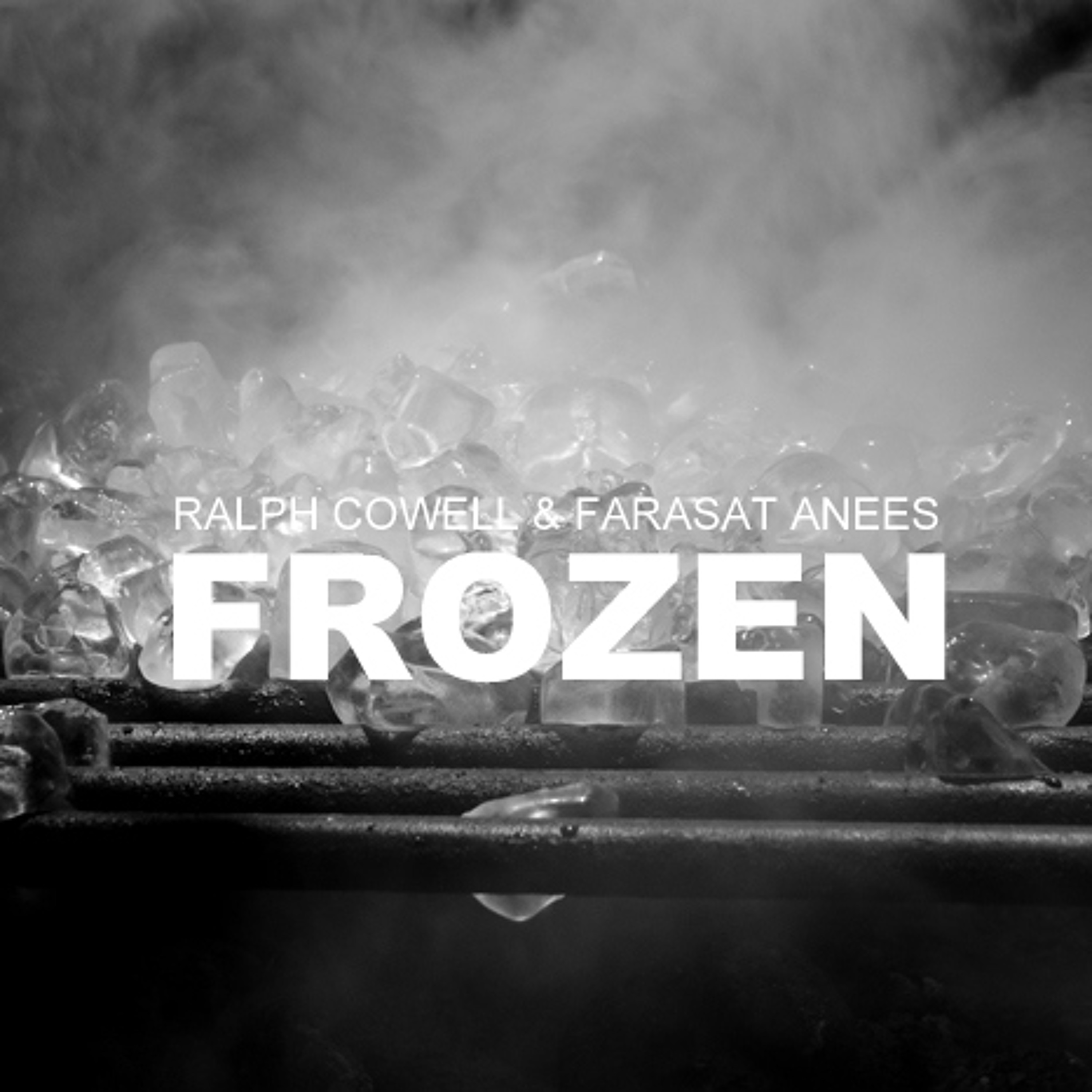 Farasat Anees