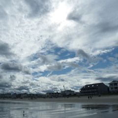 Jonathan Franzen vs. Nobel Committee (We are large, Sweden is small)