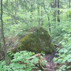 Butter On The Side Of An Eskimo