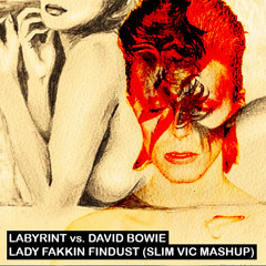 Labyrint vs. Bowie - Lady Fakkin Findust (Slim Vic dubup)