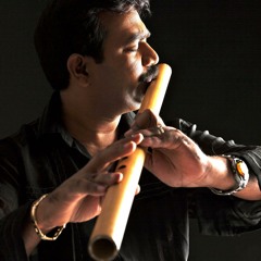 "Tranquility " Pravin Mani Feat Naveen Kumar