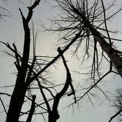 Boring relations deep mix