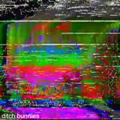 ditch bunnies -sane things