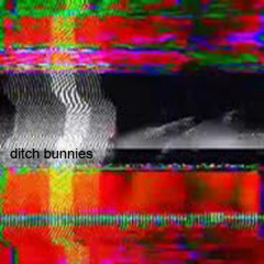 ditch bunnies- punctuality, man