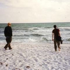 Self-Medication - Constitution No. 9  [from 'Government Dock' LP]