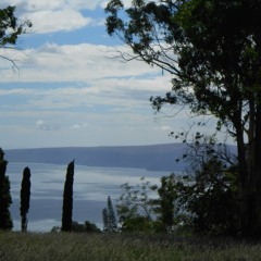 Pretzel Logic - Steely Dan