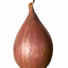 Revealing the Disappointment Onion by Handful of Zygotes