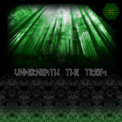 Parasect - Hidden & Deep Sea Jungles