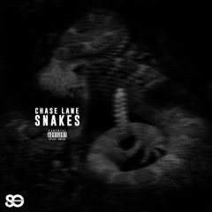 Chase Lane - Snakes
