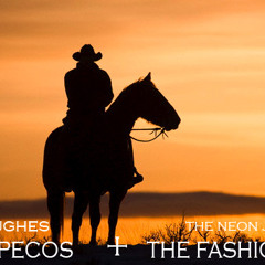 HOWARD HUGHES - WEST OF PECOS_versus_THE NEON JUDGEMENT-THE FASHION PARTY